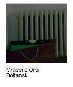 Grassi - Orsi