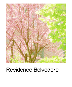 Residence Belvedere