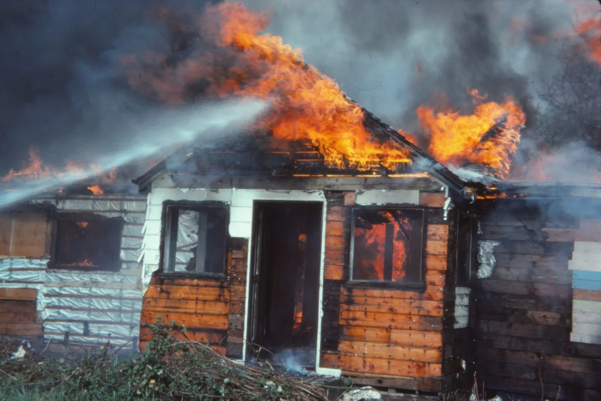 FE-2022-Carmen-Winant-3