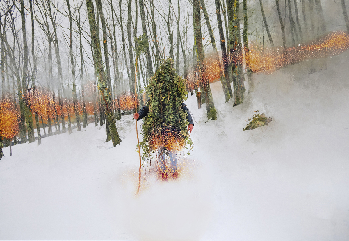 FE-2023-ALESSIA-ROLLO-la-foresta-che-cammina