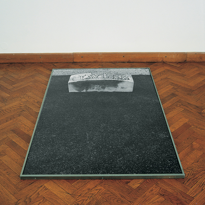 FE-2023-ArsAevi-Calle-Sophie