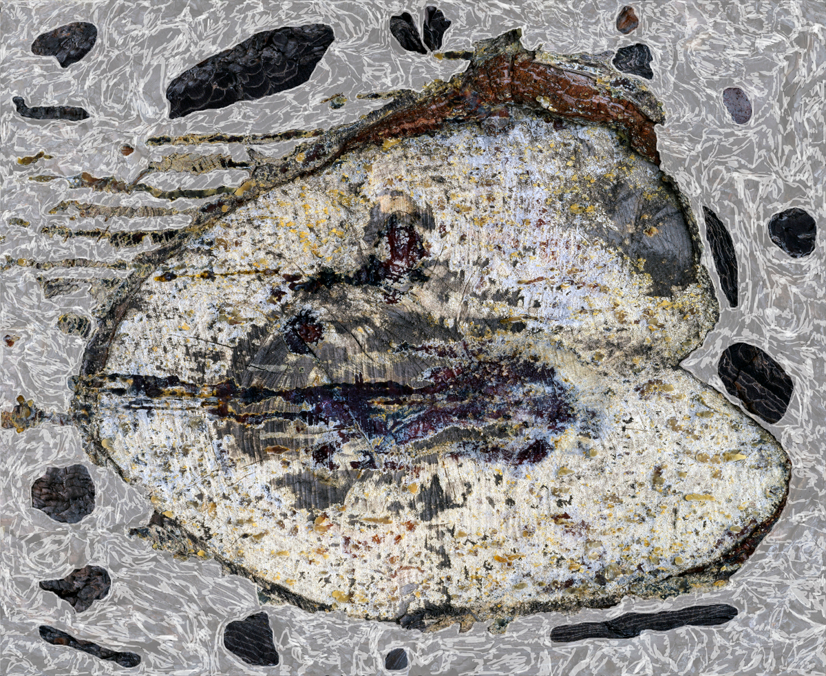 FE-2024-Helen Sear-Phantom-Amber