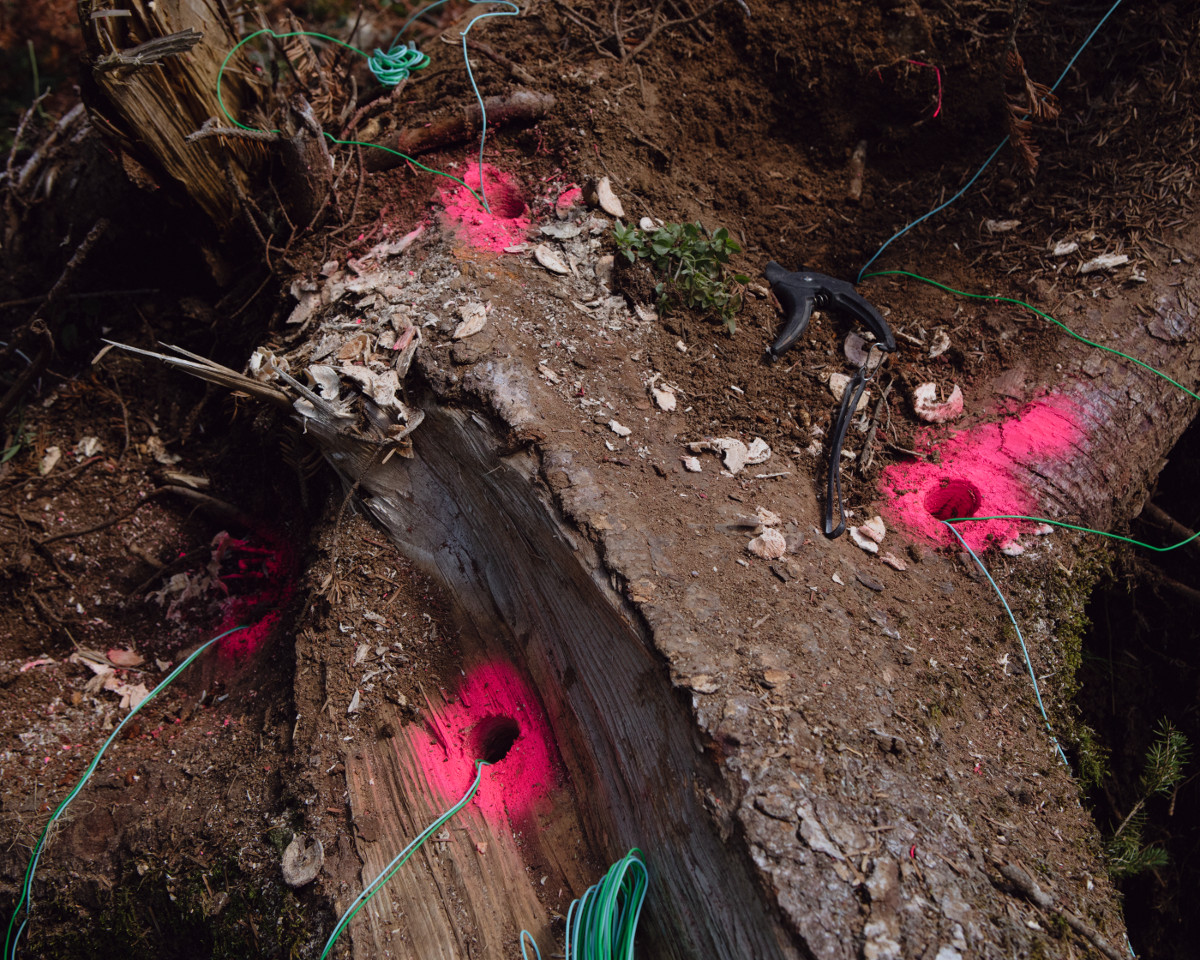 FE-2024-Matteo de Mayda-1