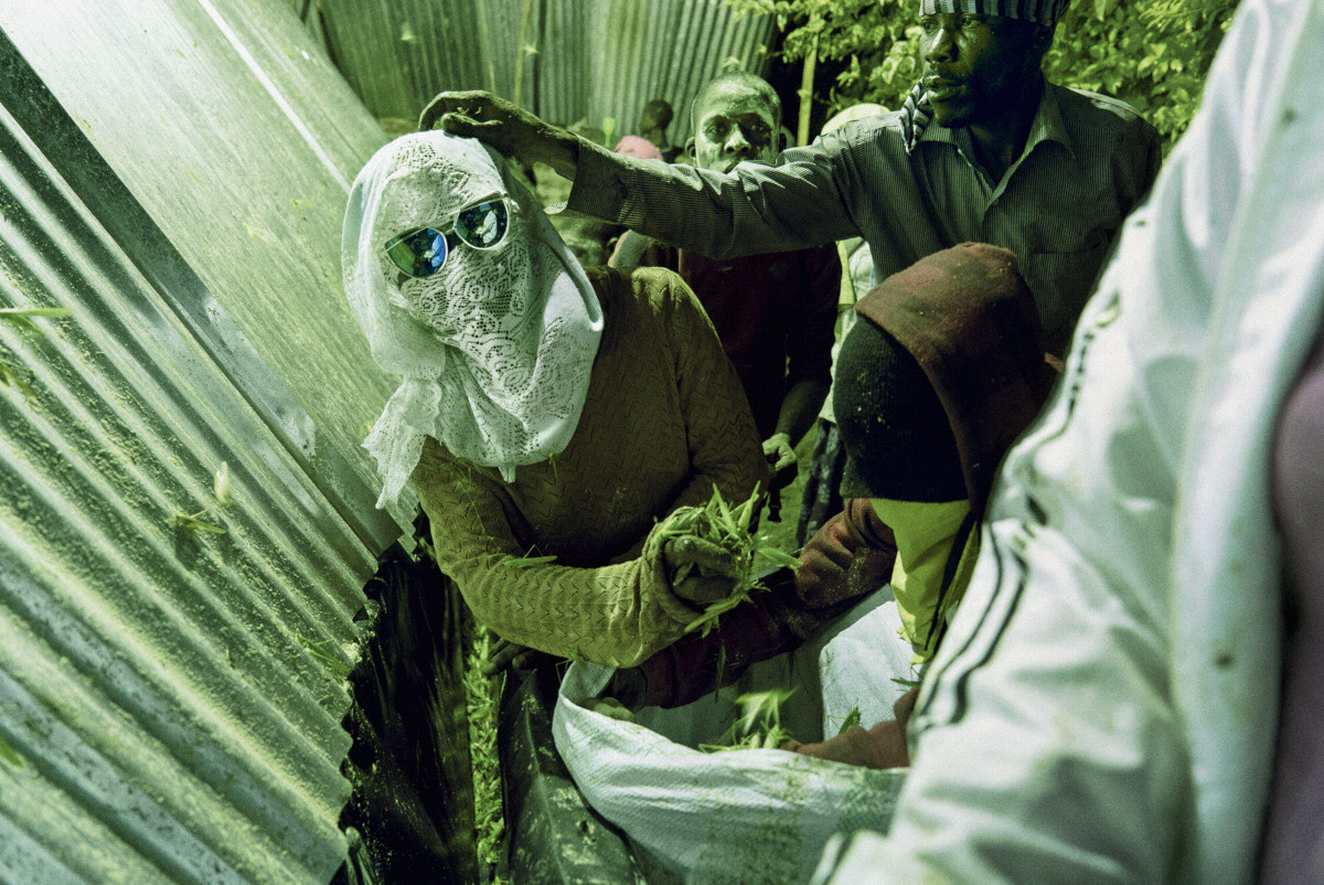 FE-2024-Michele Sibiloni-1