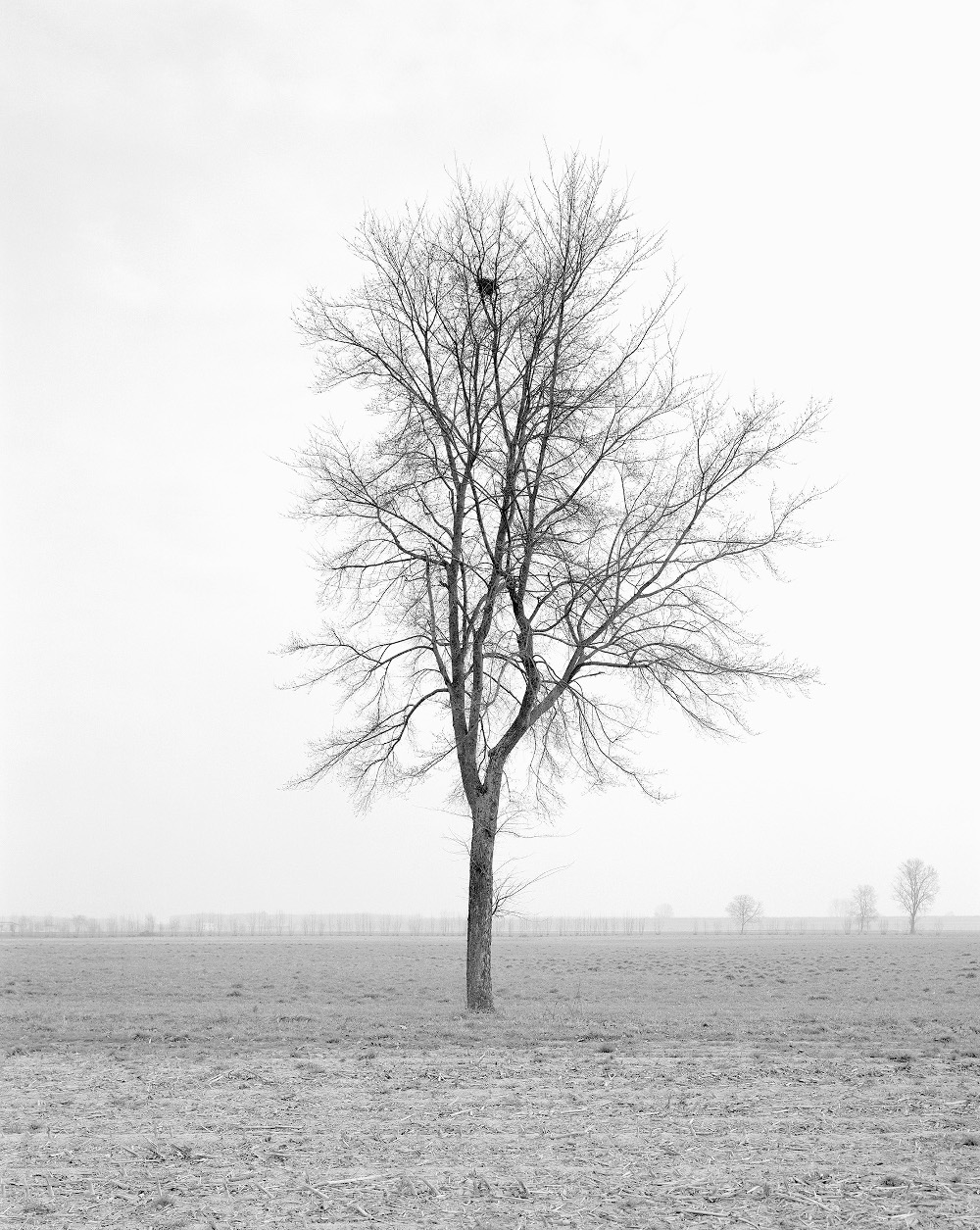 Paola De Pietri, Senza titolo dalla serie Questa Pianura, 2004, 138×110 cm © Paola De Pietri, Courtesy Galleria Alberto Peola, Torino