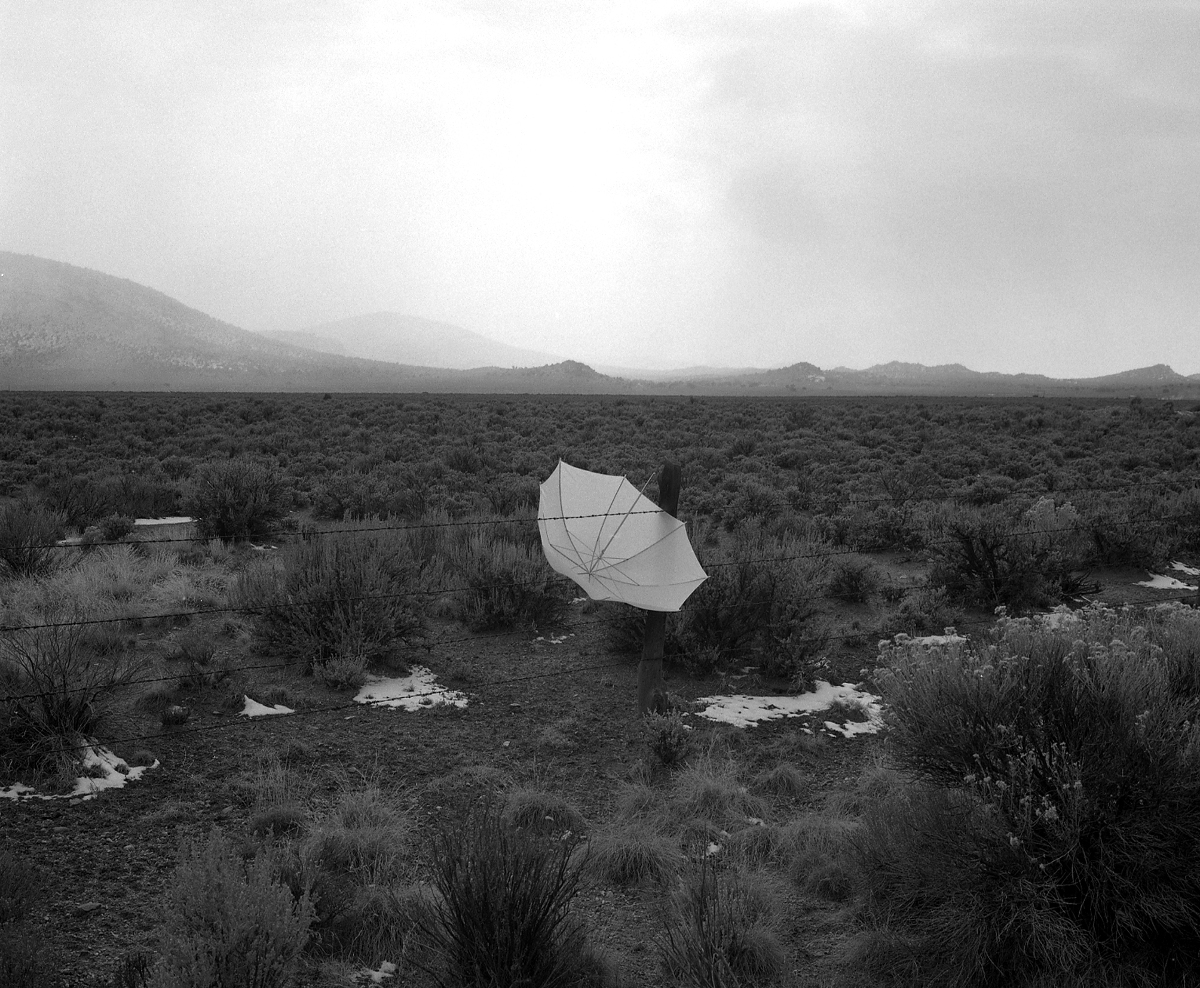 05 01.“Mo’dinna mo’dinna” (I wanna go back home), Italia/America, 2016 Courtesy dell’artista