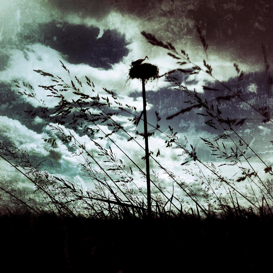 06_©-Giuliano-Ferrrari_Grand-Tour_2010-RE-344 Giuliano Ferrari, Grand Tour, Reggio Emilia 2010