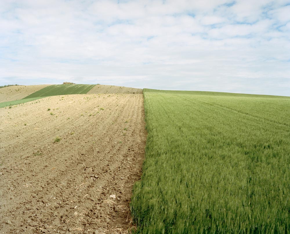 NicolPanzeriFeedUs_1 Nicolò Panzeri, 2017, ©Nicolò Panzeri