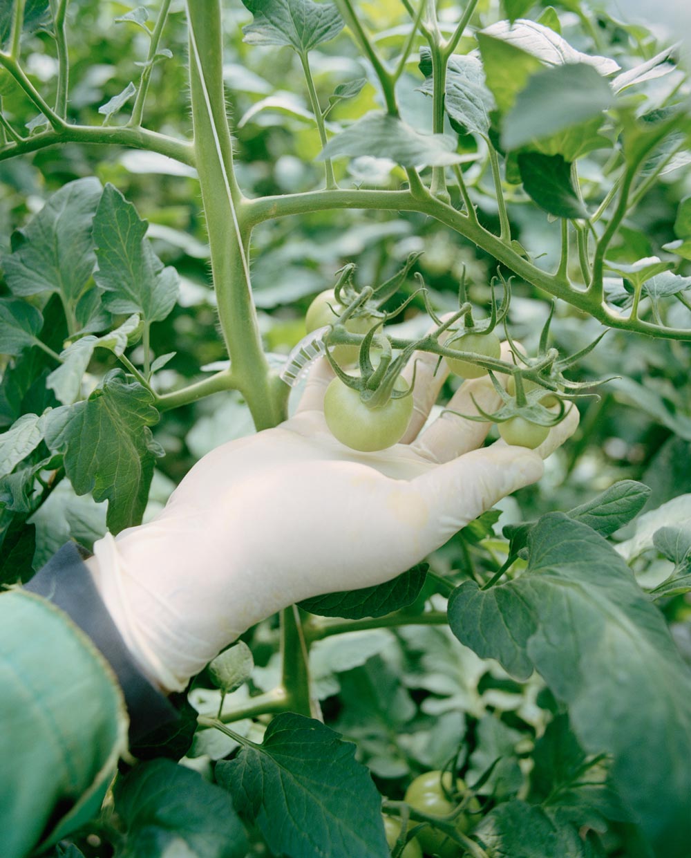 Nicol›-Panzeri_Feed-Us_05 Nicolò Panzeri, 2017, ©Nicolò Panzeri