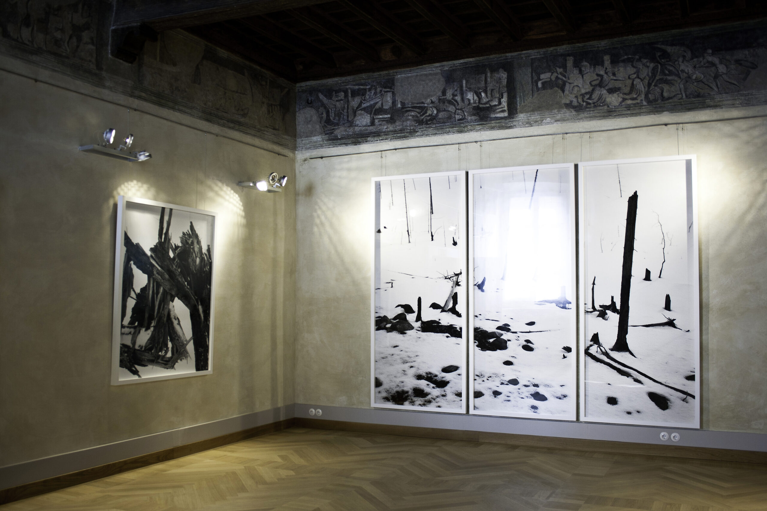 Palazzo Da Mosto (12)