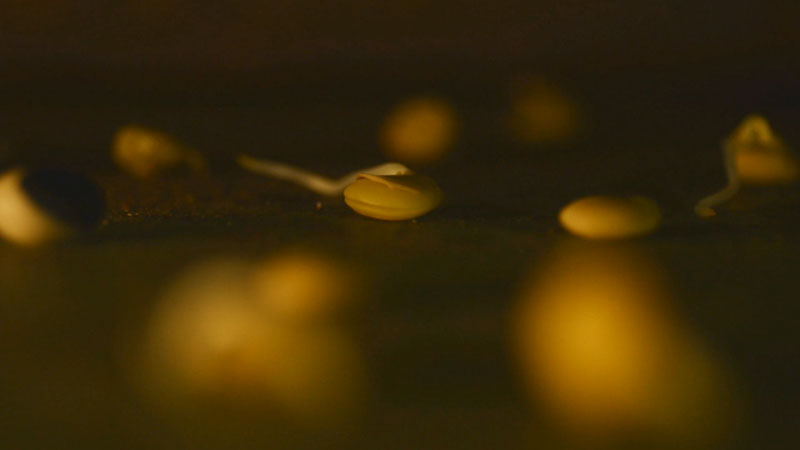 Bruno Pulici, ST()MA_05 Milano, 2014 Frame digitale da video © Bruno Pulici