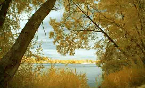 Thomas Ruff, Jpeg la01, 2007. Courtesy Galleria Lia Rumma, Milano/Napoli