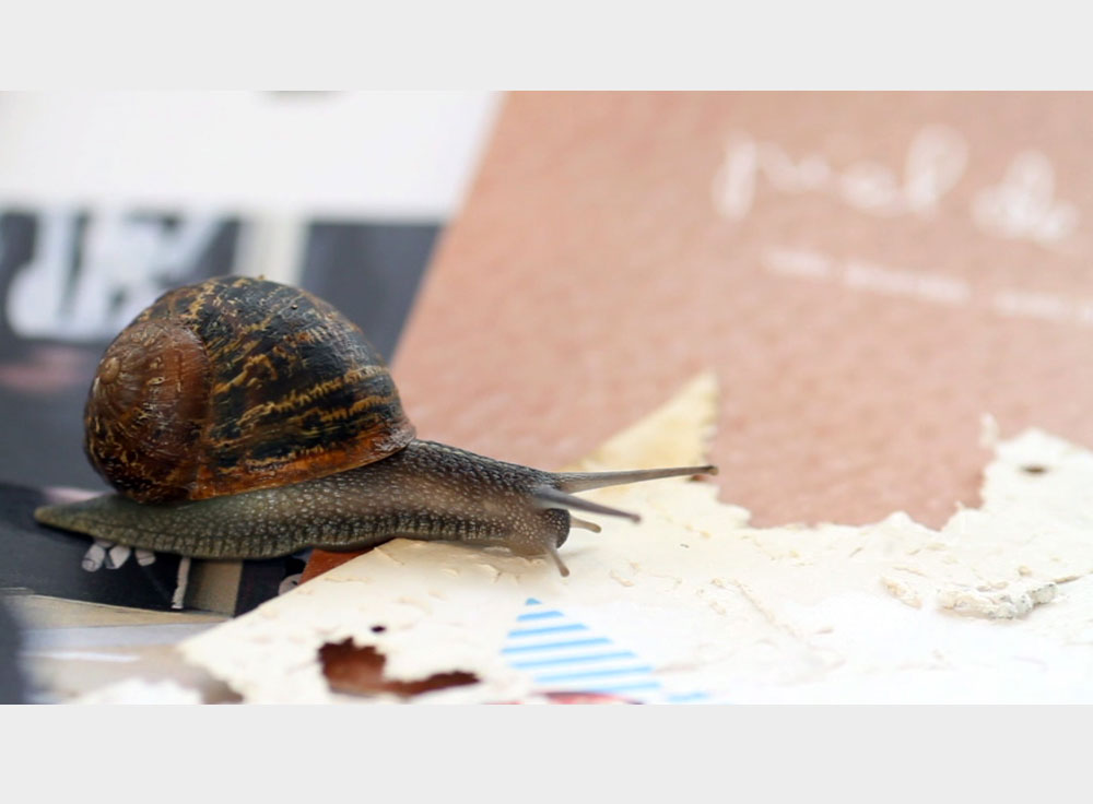 gastropoda_02 Gastropoda, video still. 2013 © Joan Fontcuberta