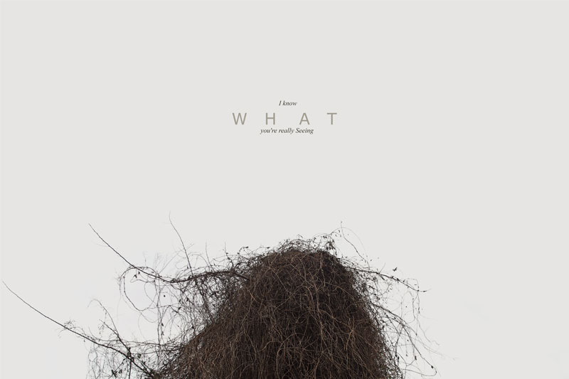 i-know-what I know what… Pino Torinese 2015 © Pierluigi Fresia