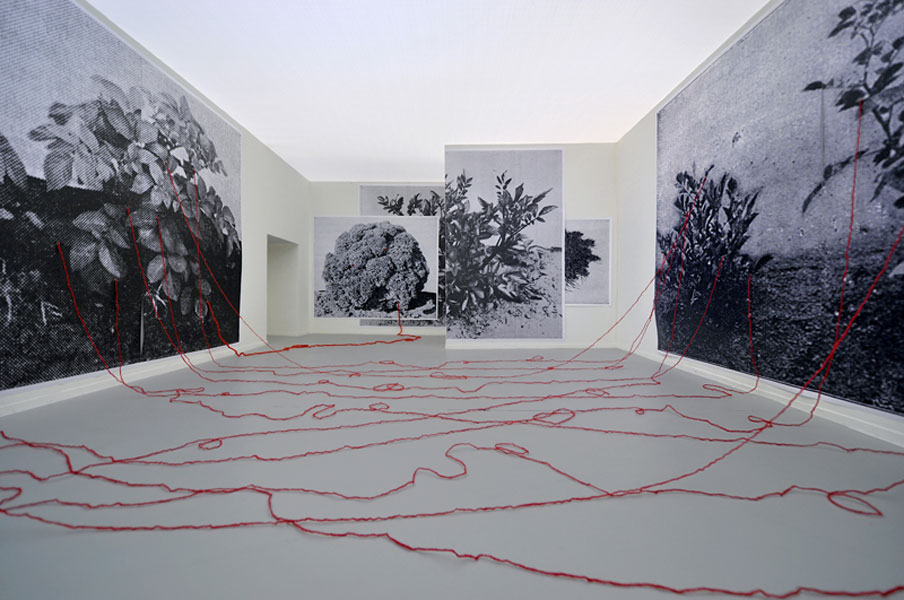 Lecture, 2012 Probe #17 © Batia Suter