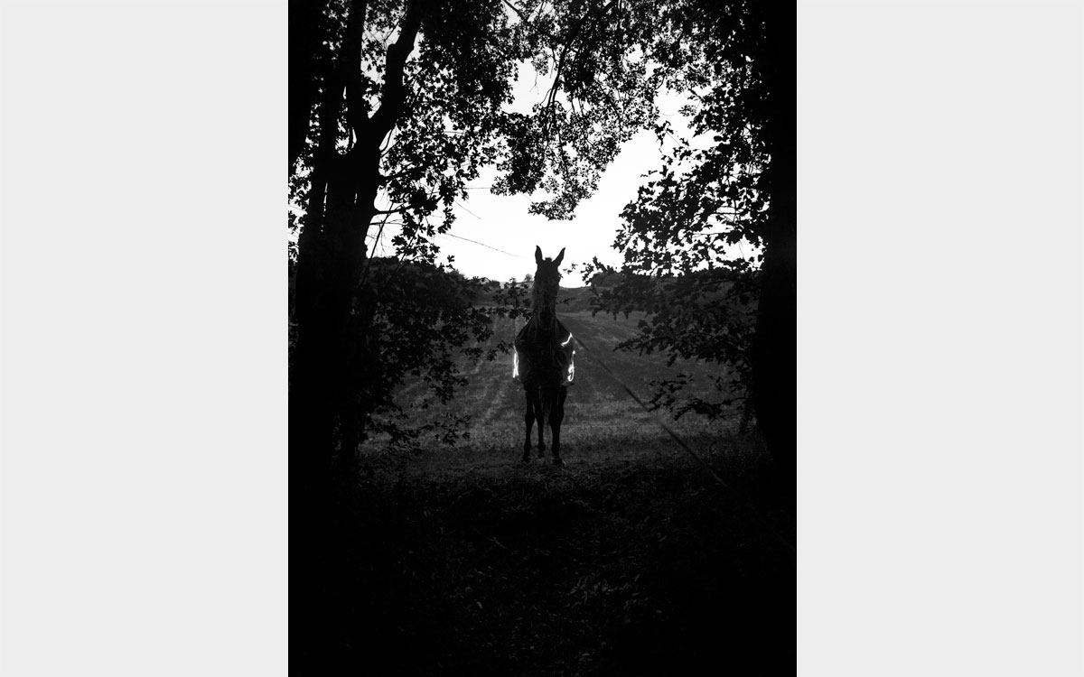 Savigno, 2015 © Amedeo Martegani