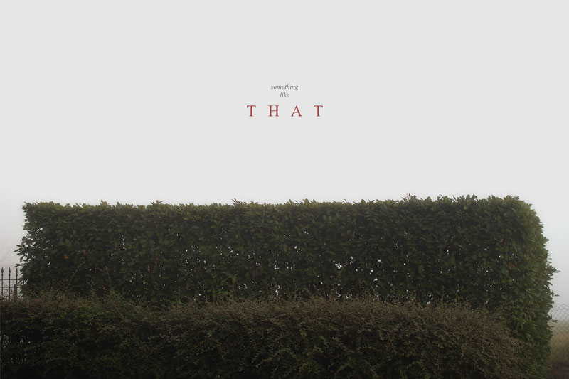 something-like Trauma, Pino Torinese 2014 © Pierluigi Fresia