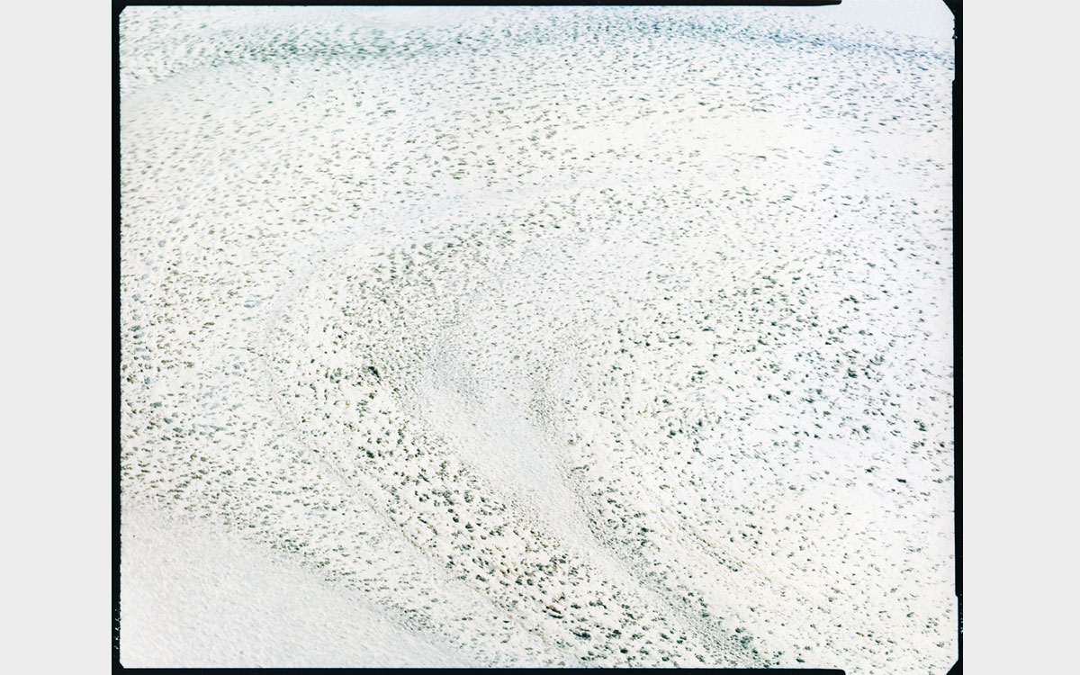 valsecchi01 Merda n° 10, Castelbosco, Piacenza, 2014 © Carlo Valsecchi