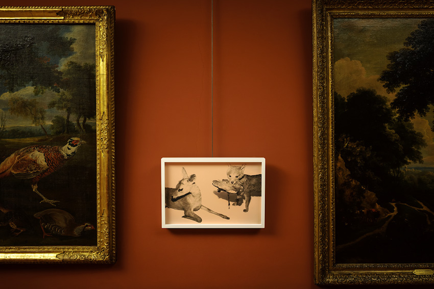®Andrea_Ferrari_Wild_Window_Galleria_Parmeggiani-15