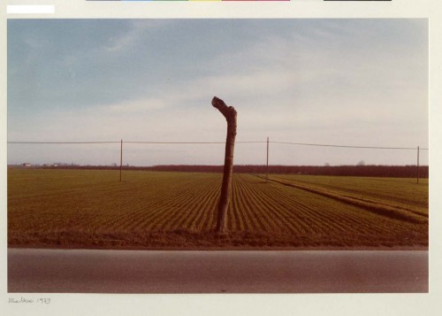 Luigi Ghirri, Modena 1973, Modena, 1973, 
mm 153x258
Courtesy CSAC Università di Parma, Eredi Ghirri