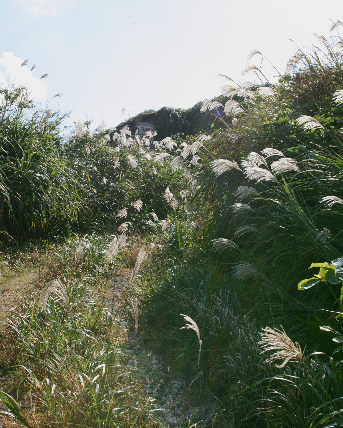 Hamzehian-_-Mortarotti-Untitled-Yonaguni-2019-©-Hamzehian-_-Mortarotti