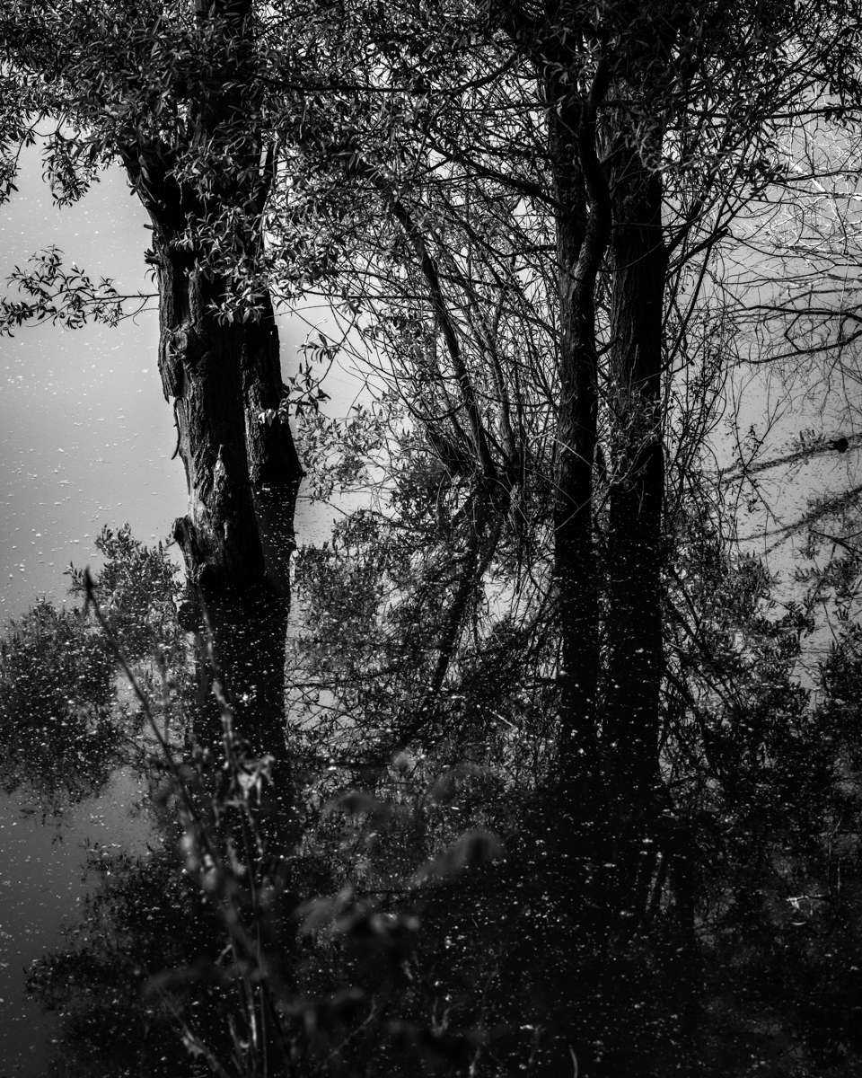 B0001010_Fto – Giulio Corradini