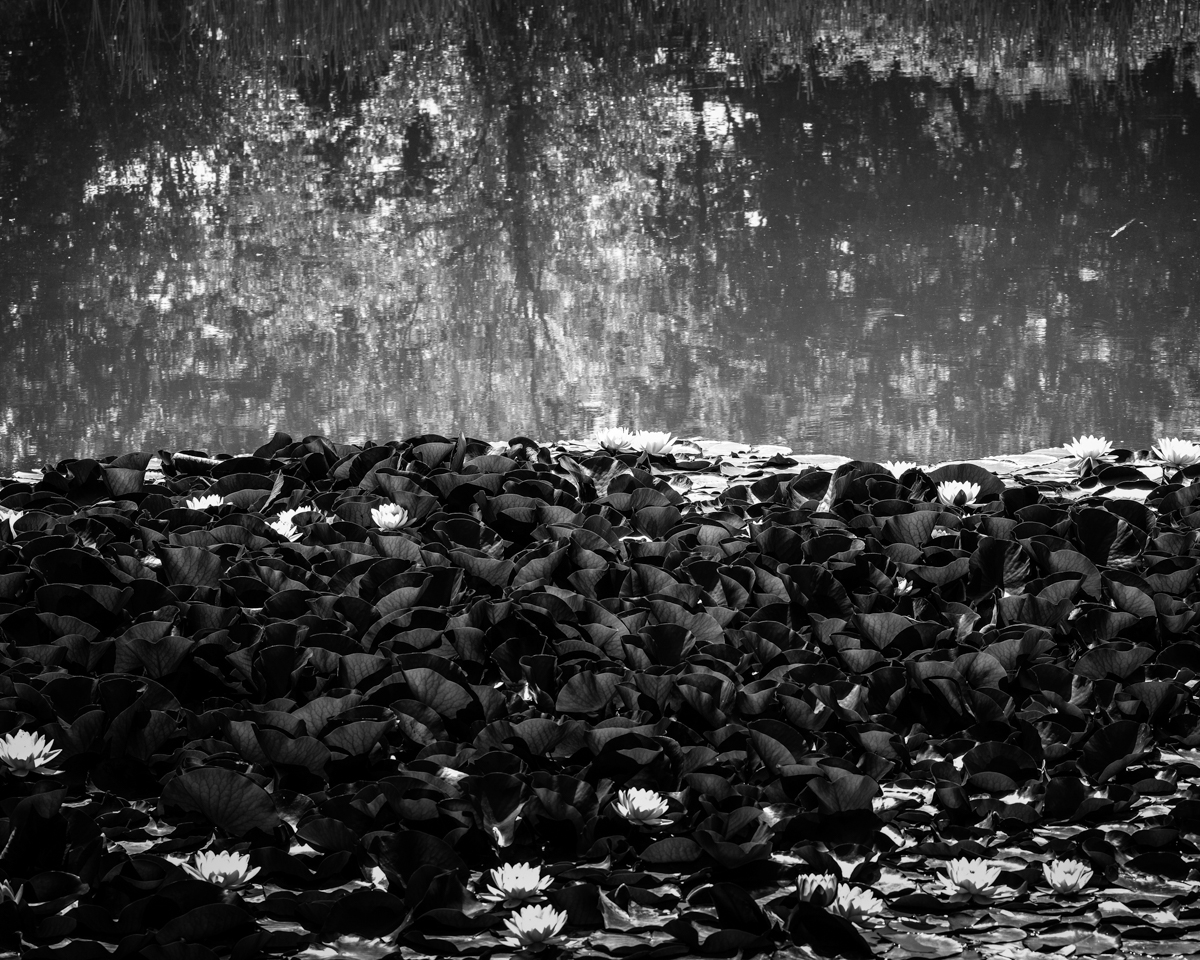 B0001399_Fto – Giulio Corradini