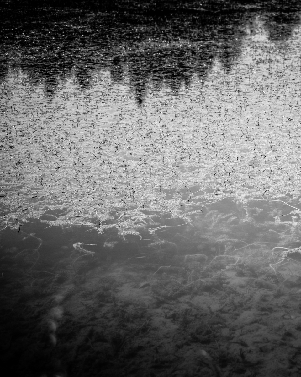 B0001673_Fto – Giulio Corradini