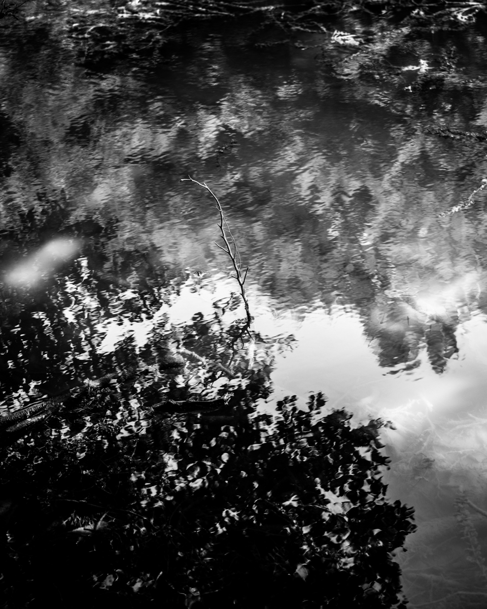 B0001684_Fto – Giulio Corradini