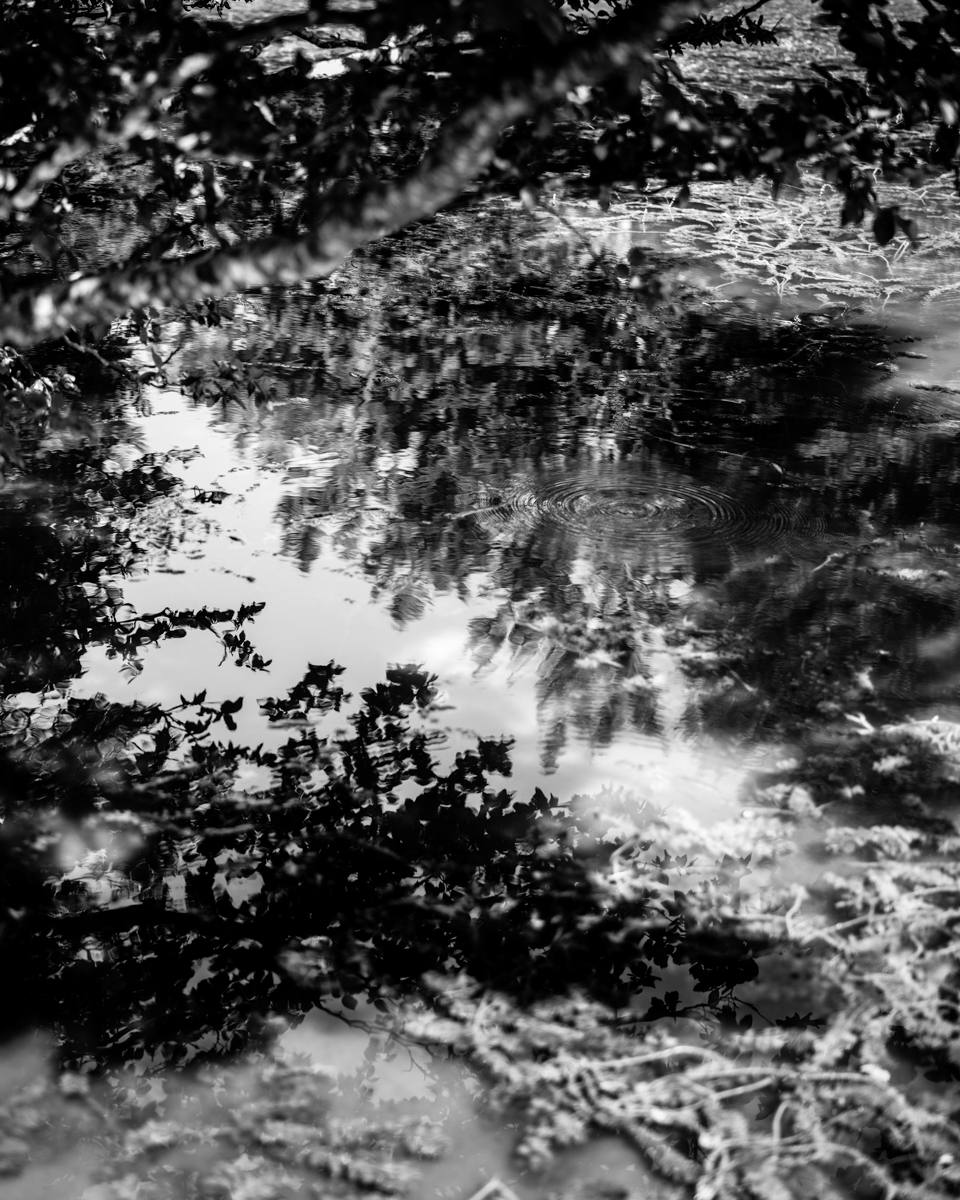 B0001686_Fto – Giulio Corradini