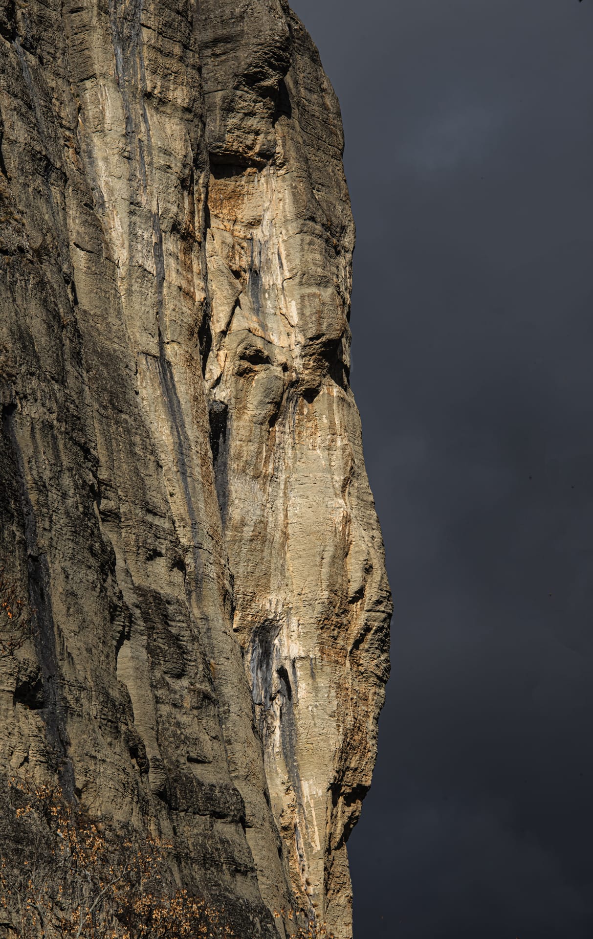 IL PROFILO DEL TEMPO_2