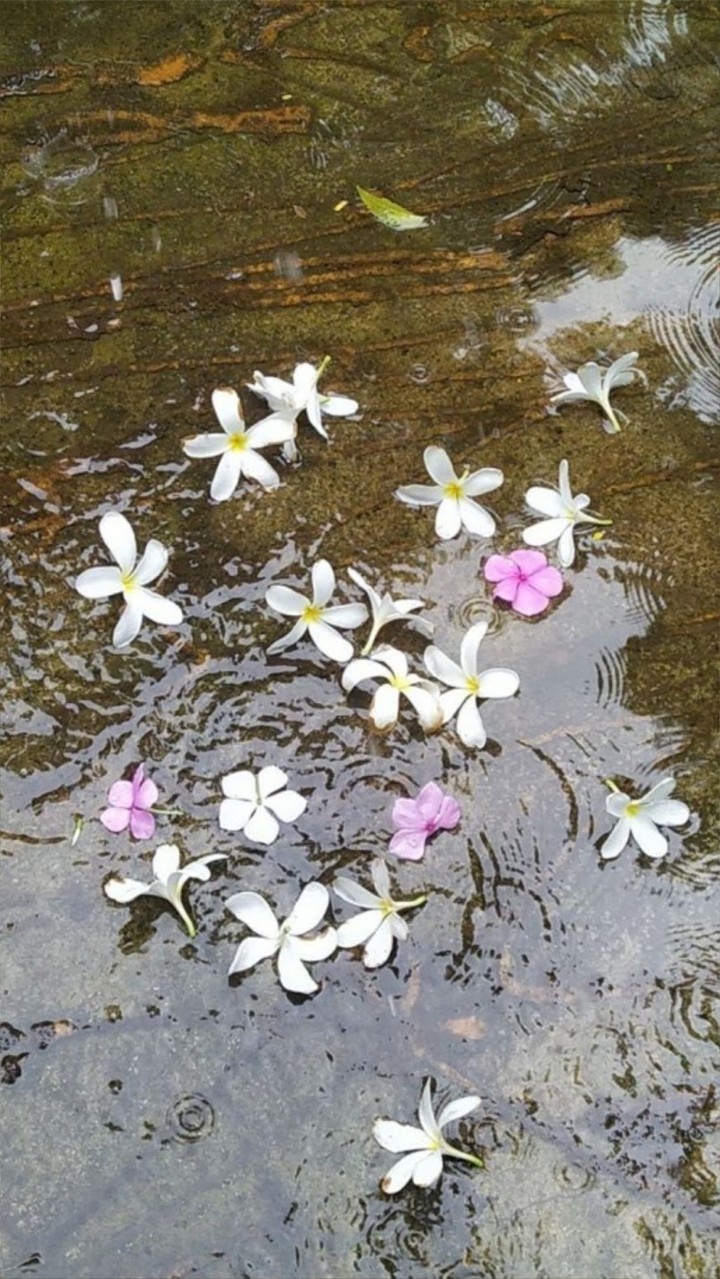 02 – Annalisa Carpi