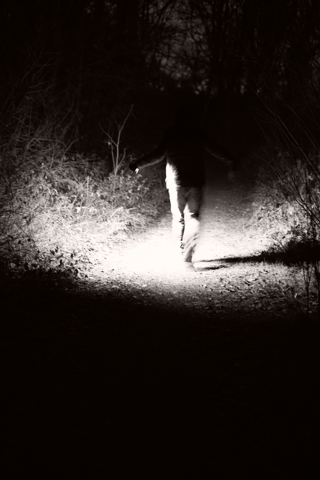 02 _DSC7501.corr2_Fto – Silvia Ribola