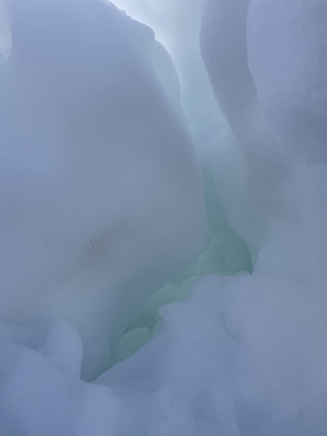 03 – Annalisa Carpi