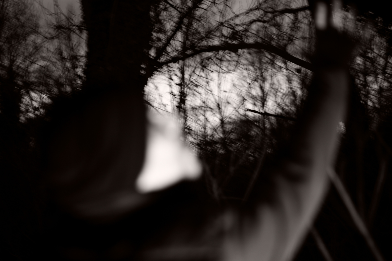 03 _DSC7402.corr_Fto – Silvia Ribola