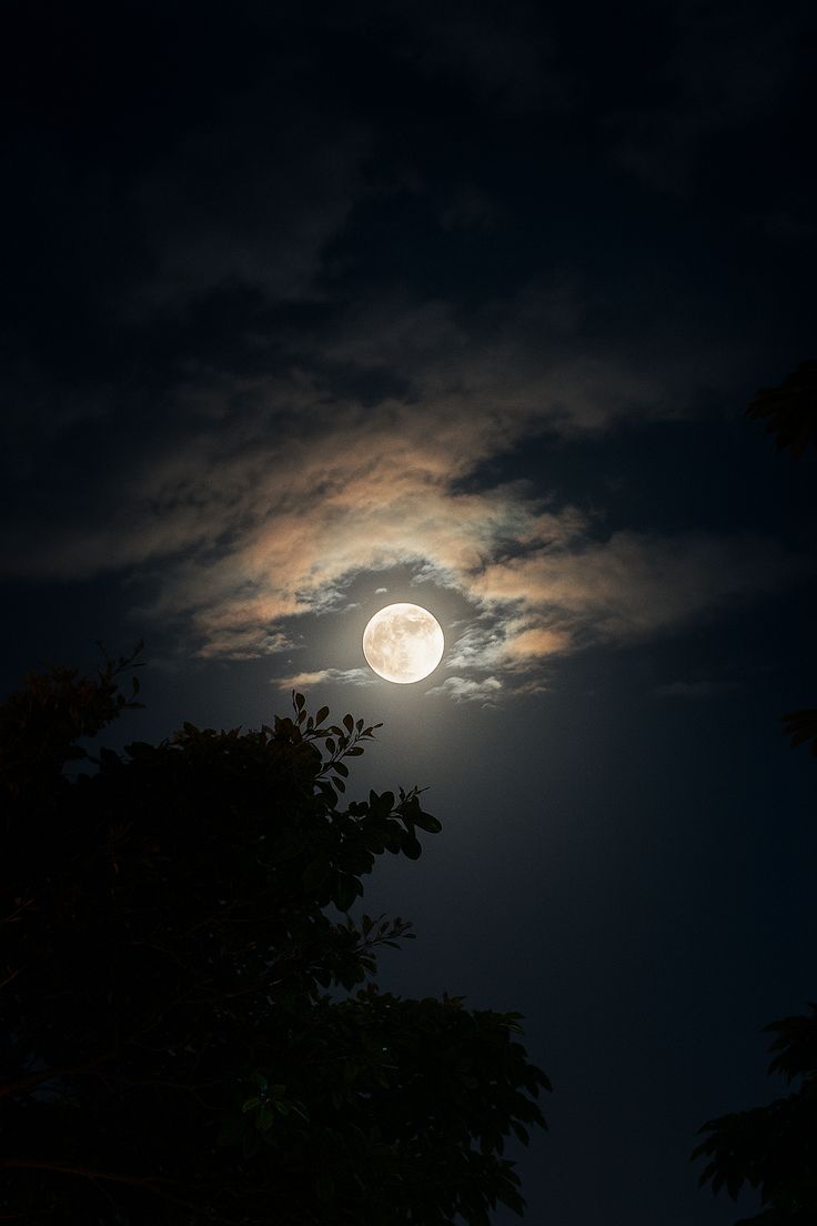 04 – Annalisa Carpi