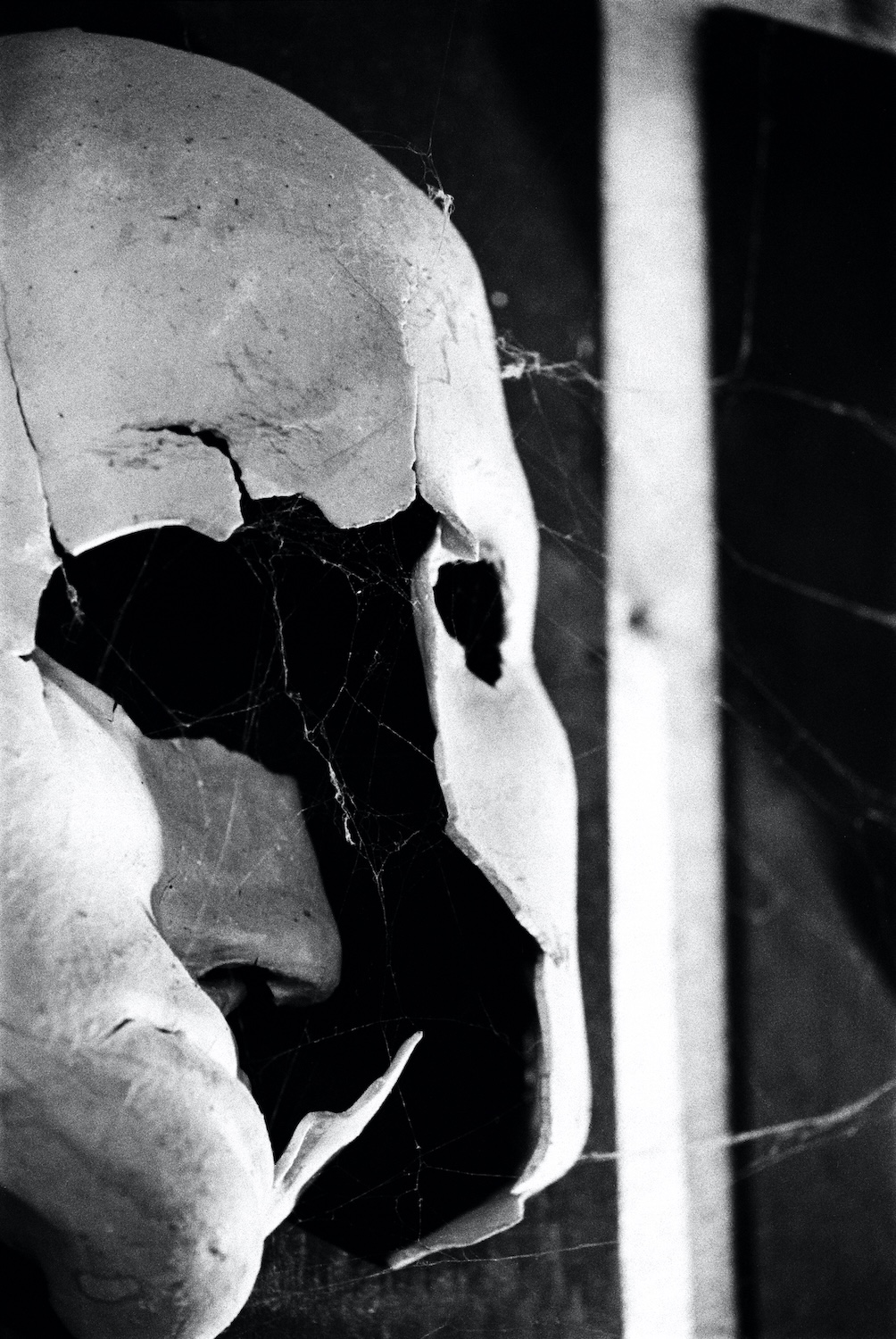 04 – Benedetta Incerti