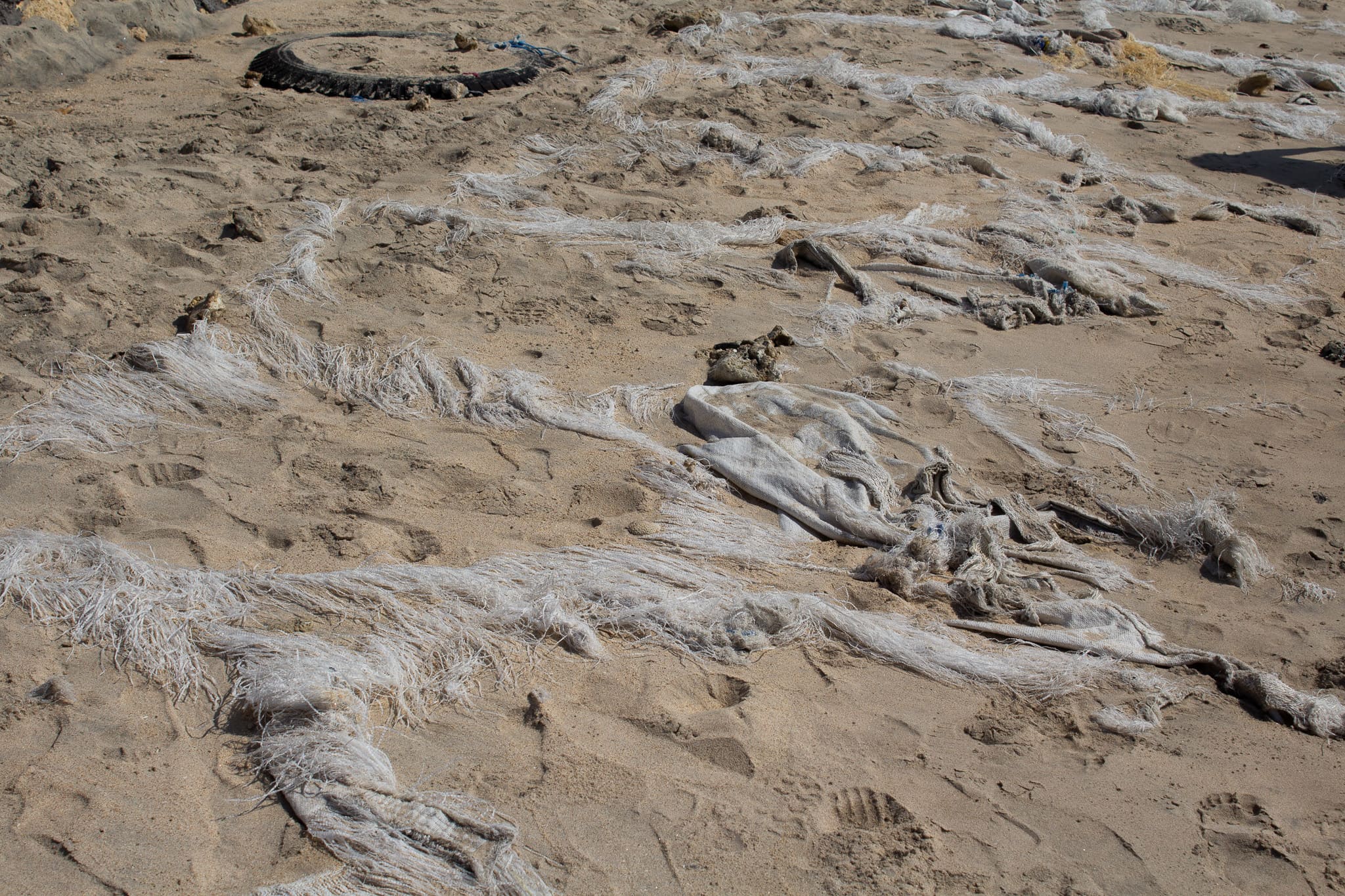 04_Sabbia_Alina Panzetti – alina panzetti