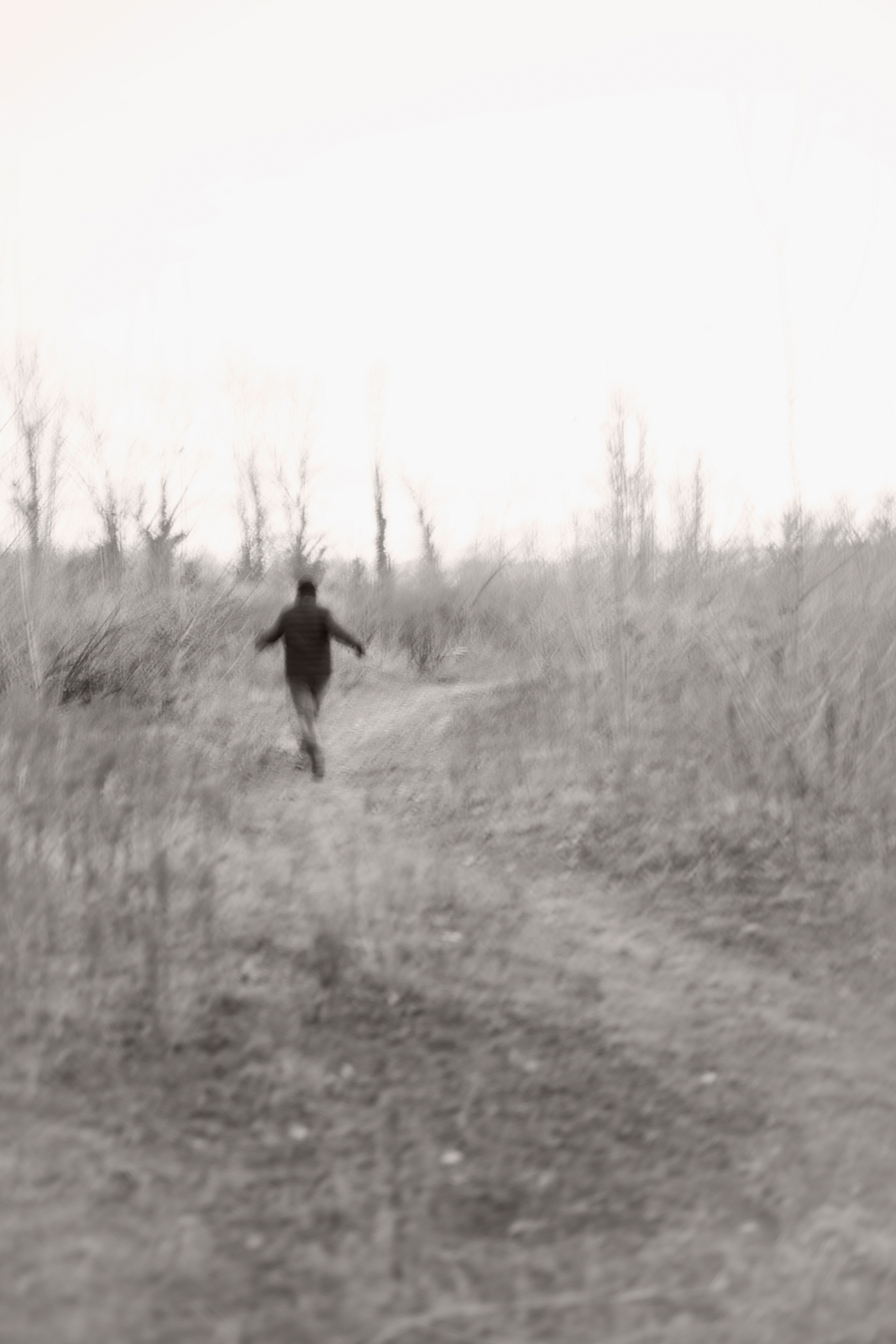 05 _DSC7351.corr_Fto – Silvia Ribola