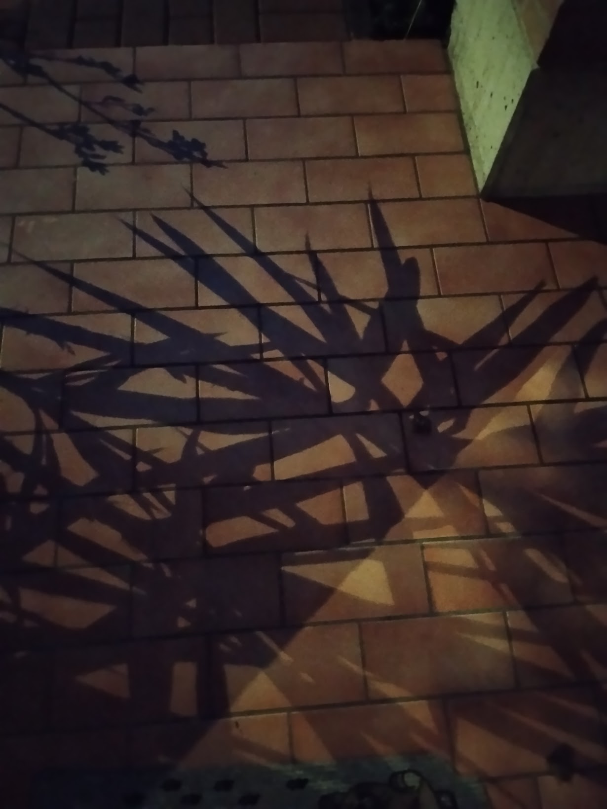 06 – Annalisa Carpi