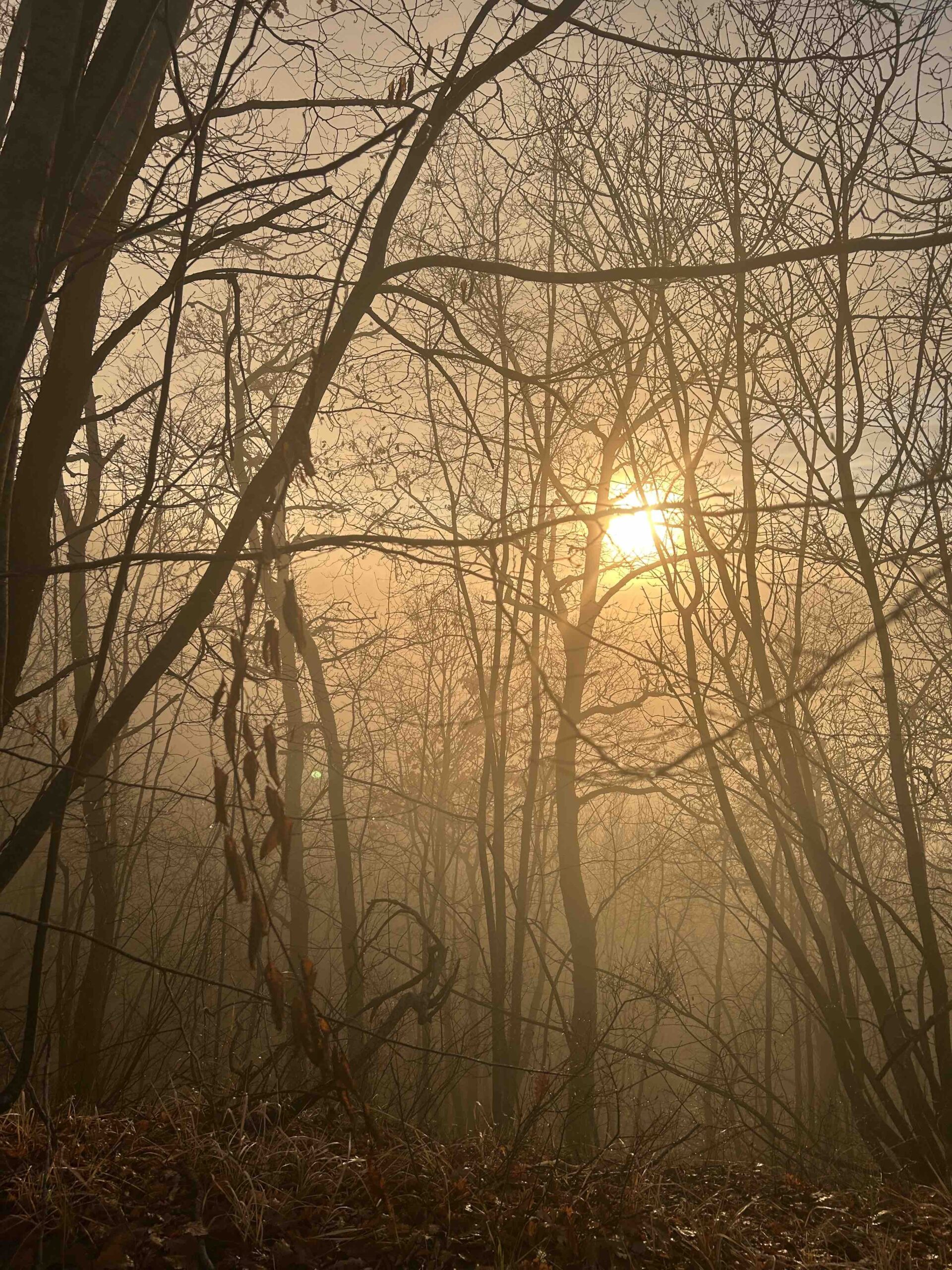 08 – Annalisa Carpi