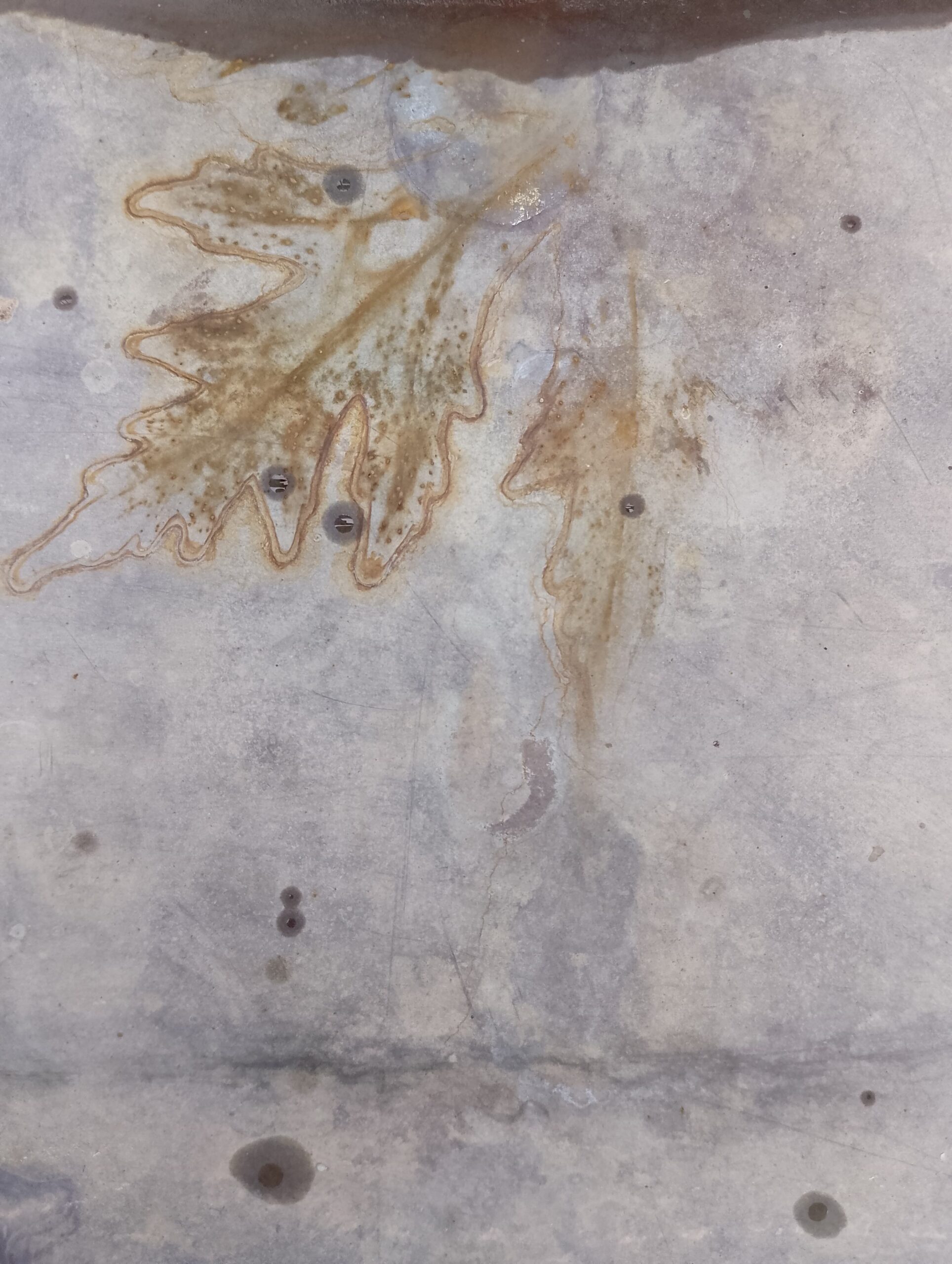 09 – Annalisa Carpi