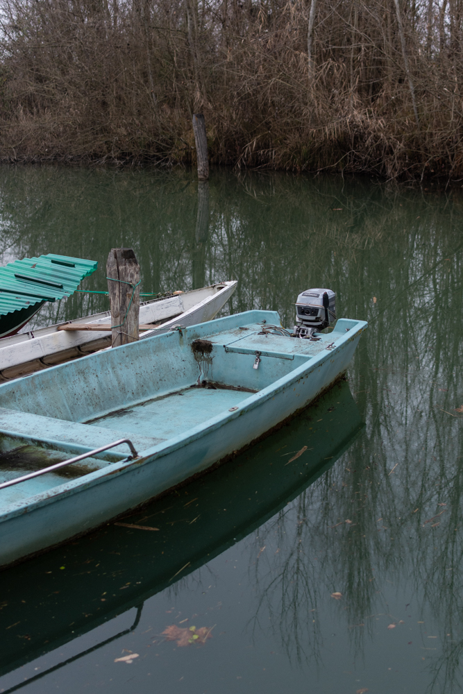 1 – Annalisa Caroni