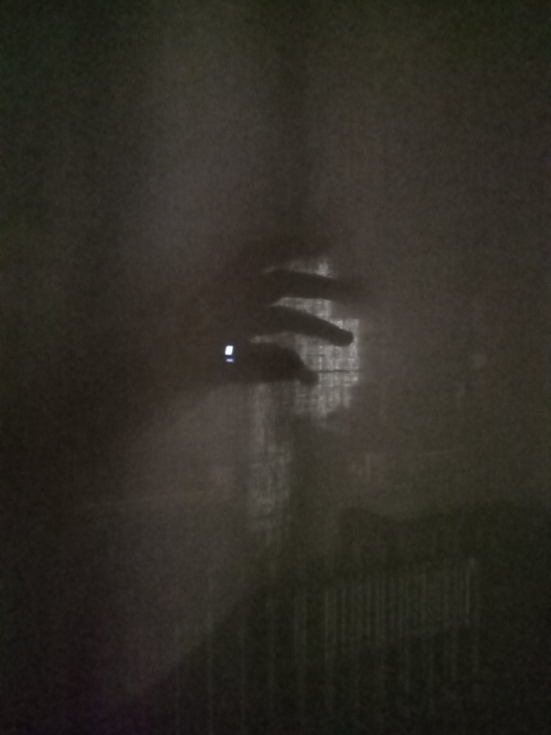 10 – Annalisa Carpi