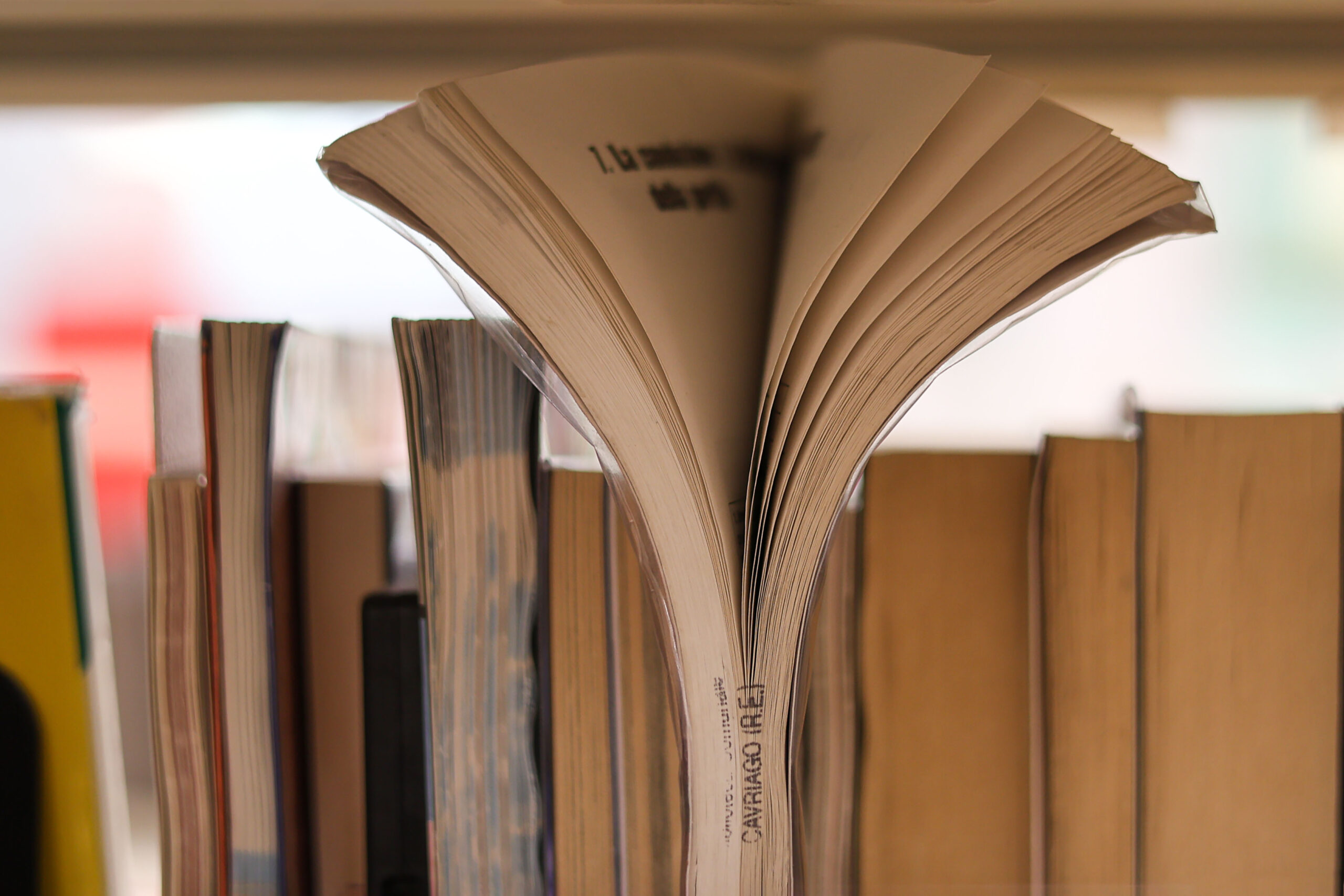 105 – Germano Pasini