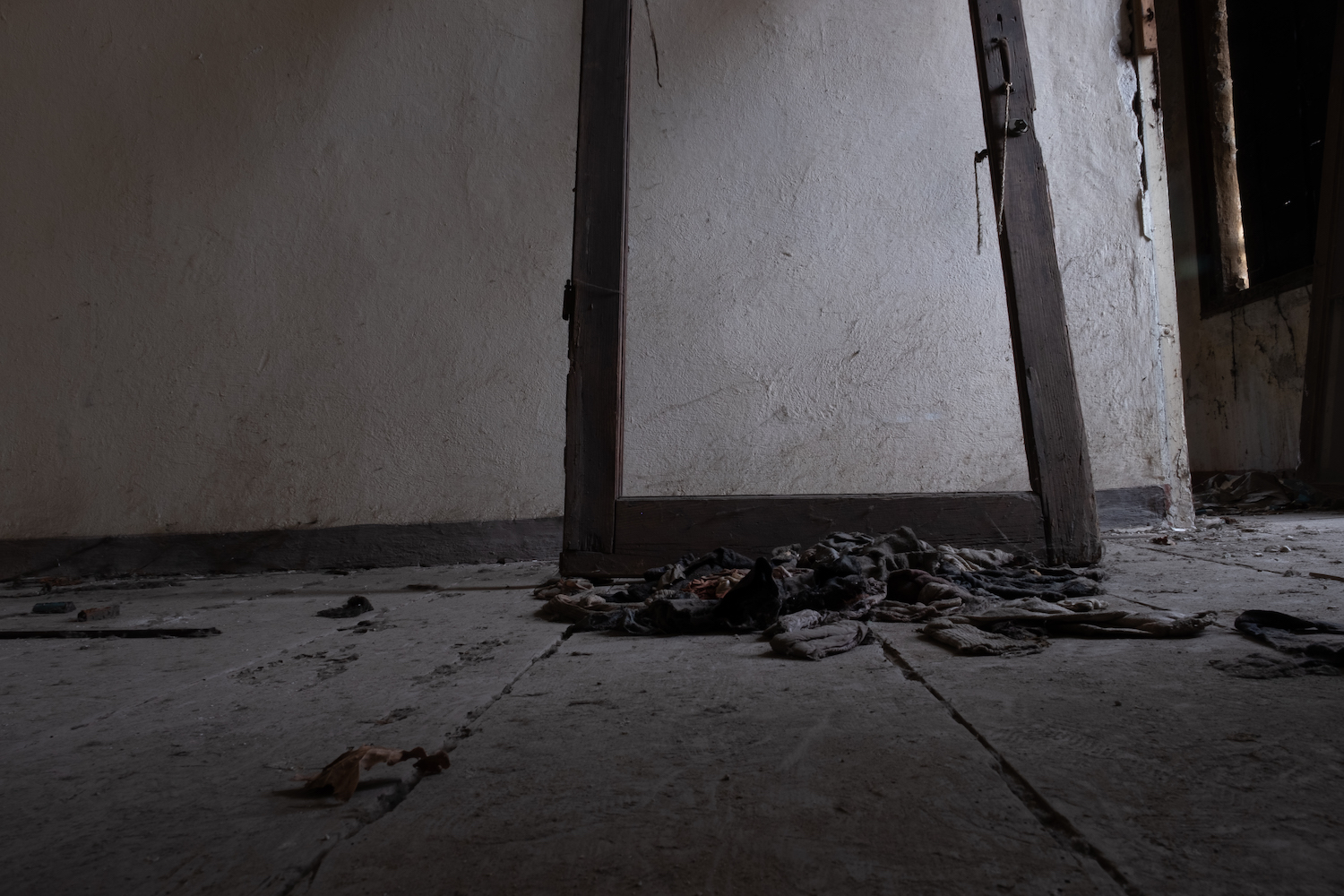 20210501DSCF5143jpg 300 dpi – Serafina Figliuzzi