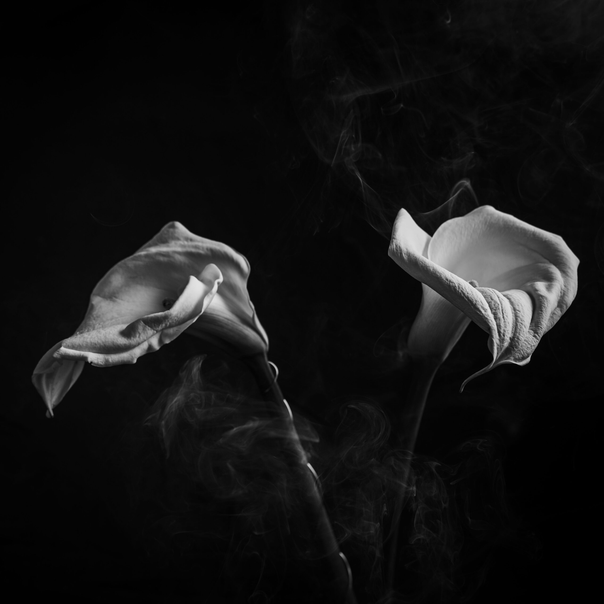 © Andrea Zannoni 2025