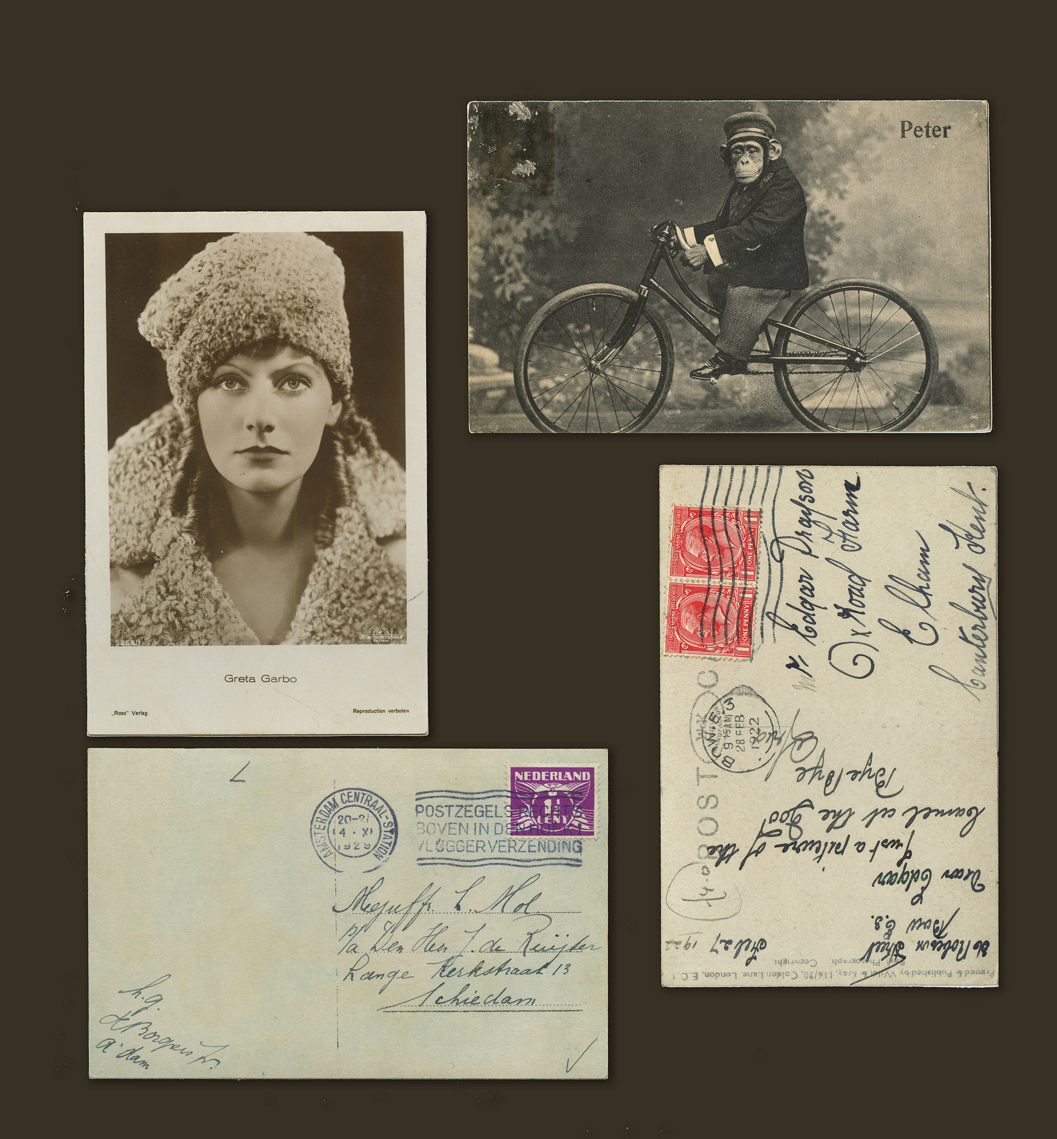 4 (1) – cristiana salami