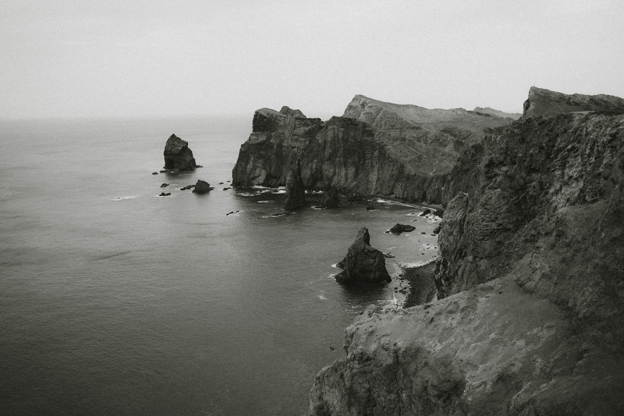 4-DSC004 – Alice Fregni