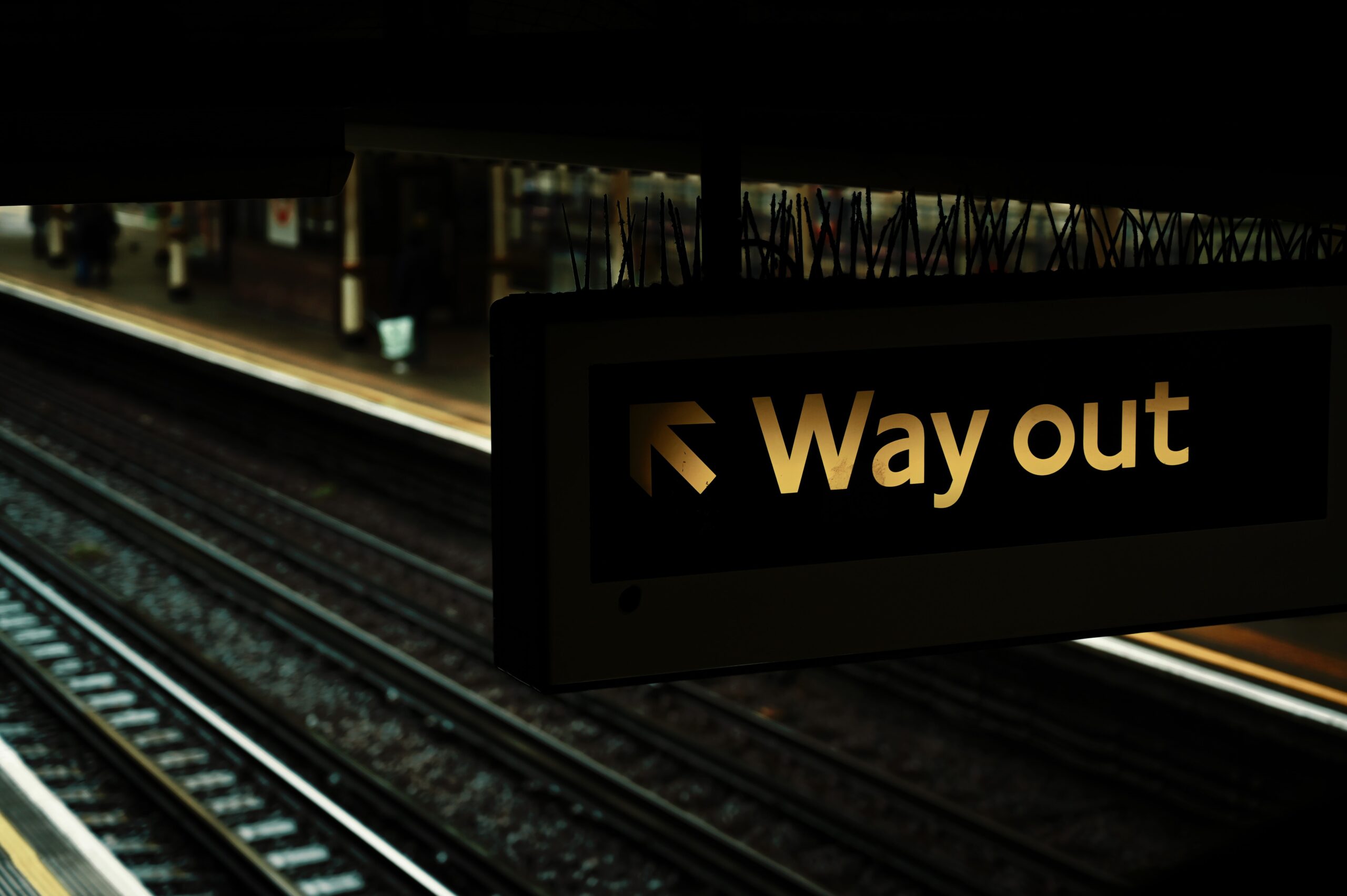 4 – Francesco Malagoli